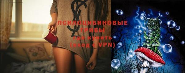 PSILOCYBIN Богородск