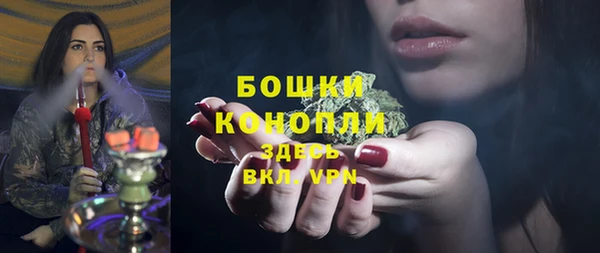 PSILOCYBIN Богородск