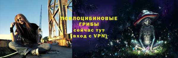 MDMA Premium VHQ Богородицк