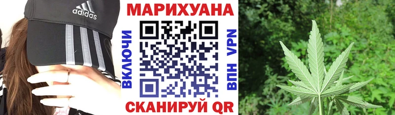 хочу наркоту  Боровичи  Марихуана индика 